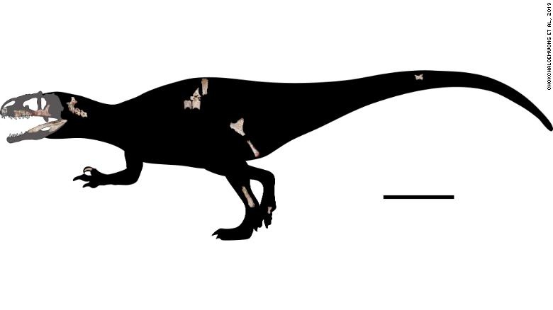 Phat hien khung long an thit moi co rang nhu ca map hinh anh