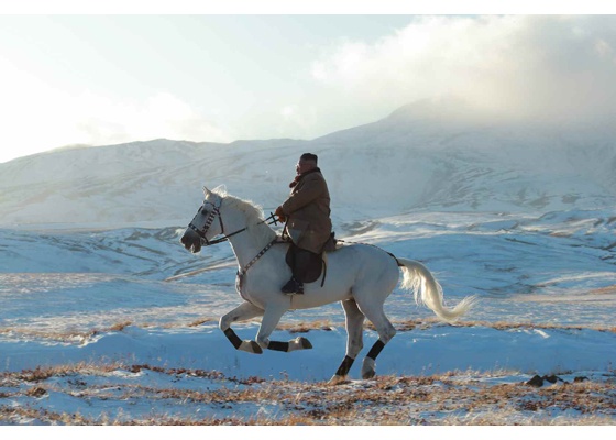nha lanh dao Kim anh 1