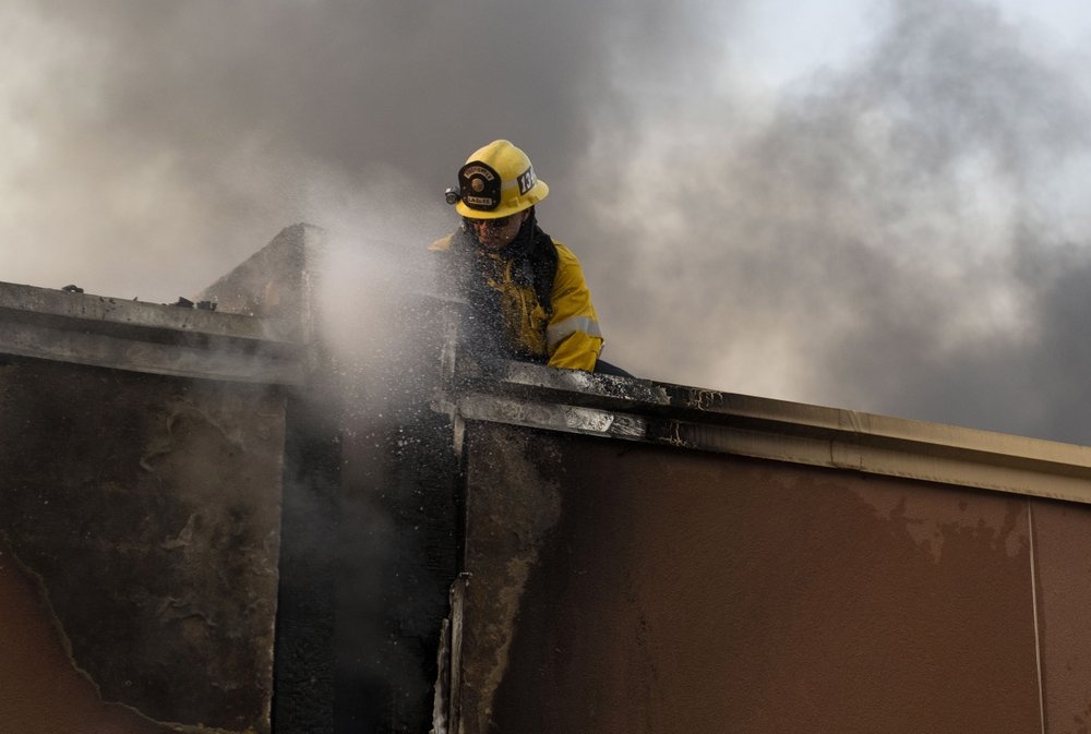 hoa hoan o California anh 9