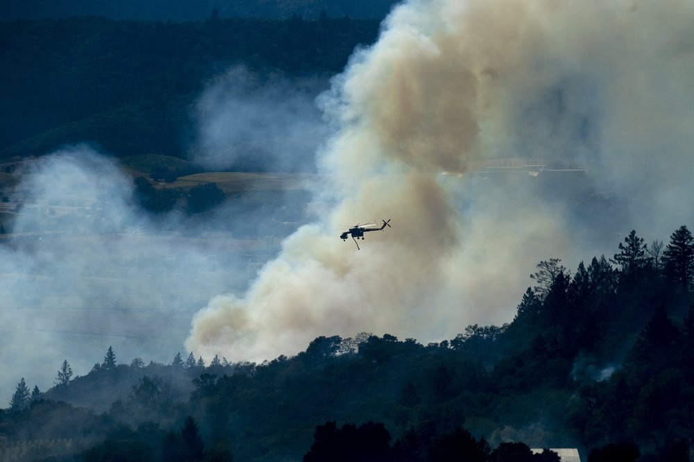 Hoa hoan lan rong o California, hang chuc nghin nguoi so tan hinh anh