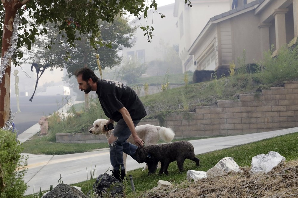 hoa hoan o California anh 7