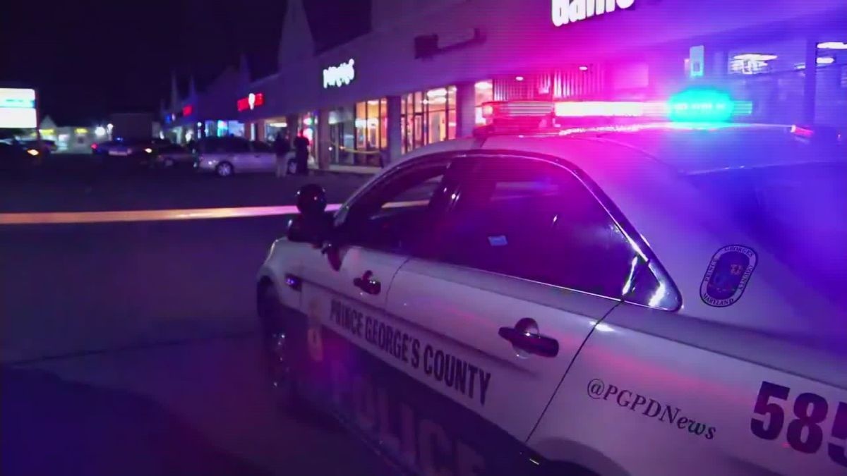 bánh mì sandwich ảnh 1 banh mi sandwich anh 1