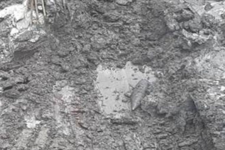 Singapore phat hien bom nang 50 kg tu thoi The chien II hinh anh