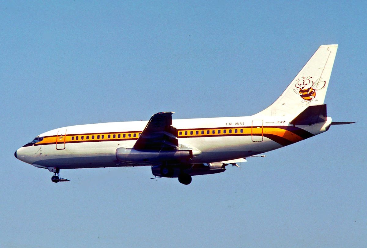 May bay dang cat canh roi vao khu dan cu o Congo hinh anh