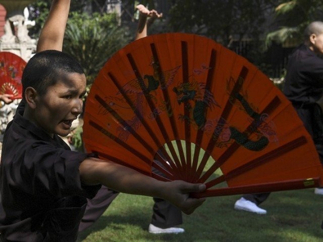 vo su kungfu nu anh 2