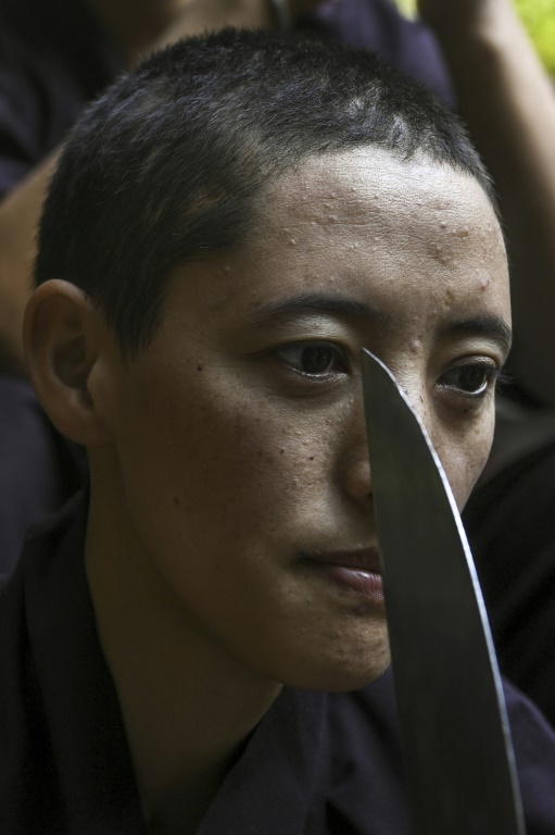 vo su kungfu nu anh 11