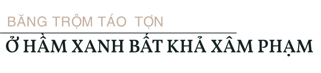 vu trom Ham Xanh anh 5