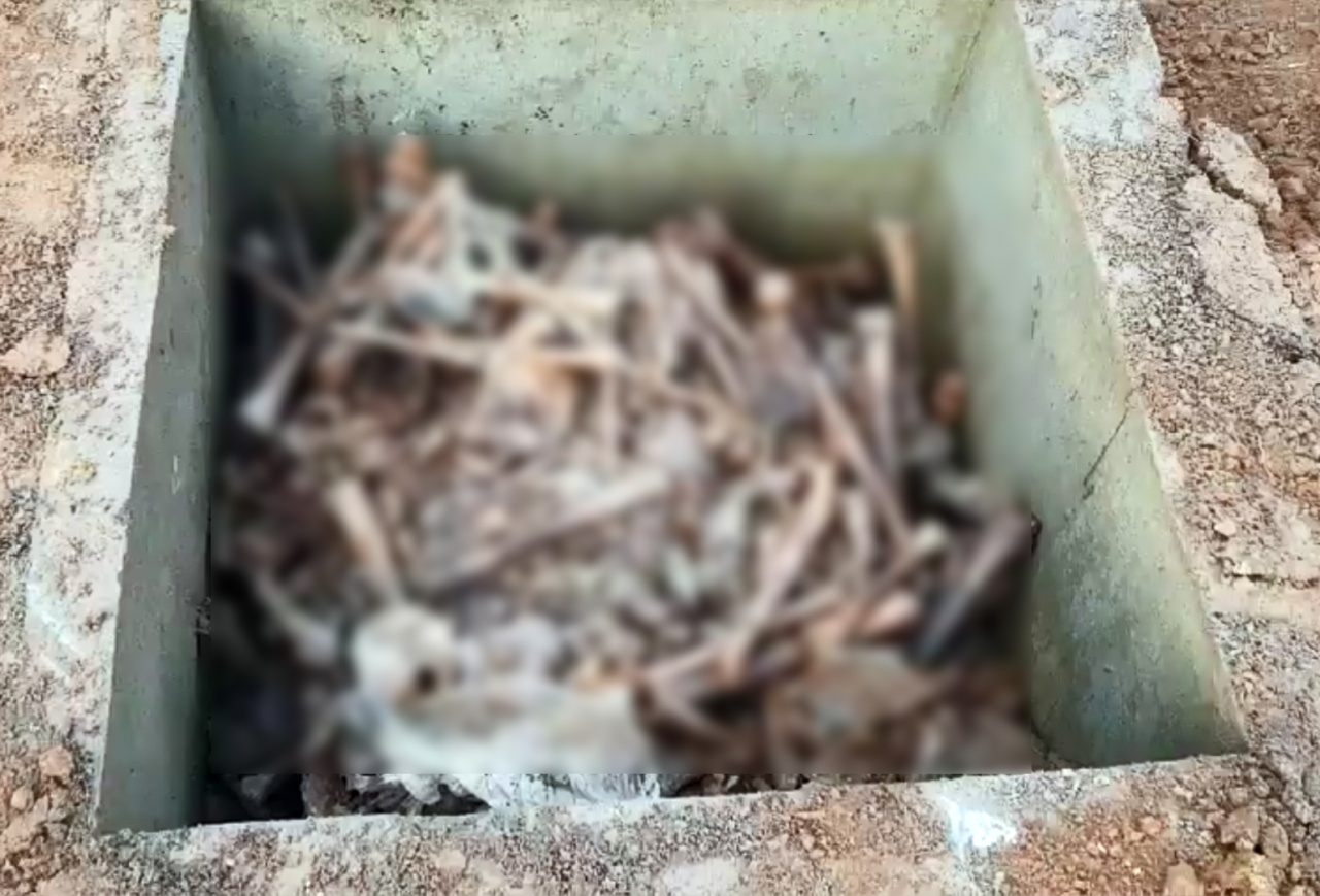 Han Quoc phat hien 80 bo hai cot, nghi cua nguoi bieu tinh nam 1980 hinh anh