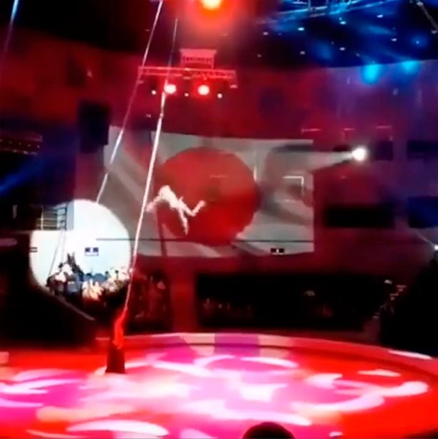 nghe si nhao lon anh 1