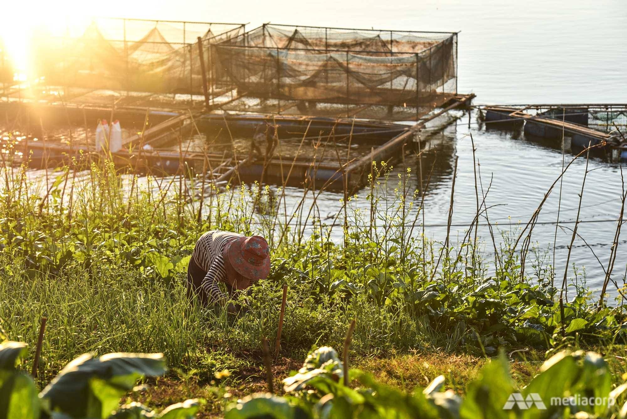 dong song Mekong anh 2