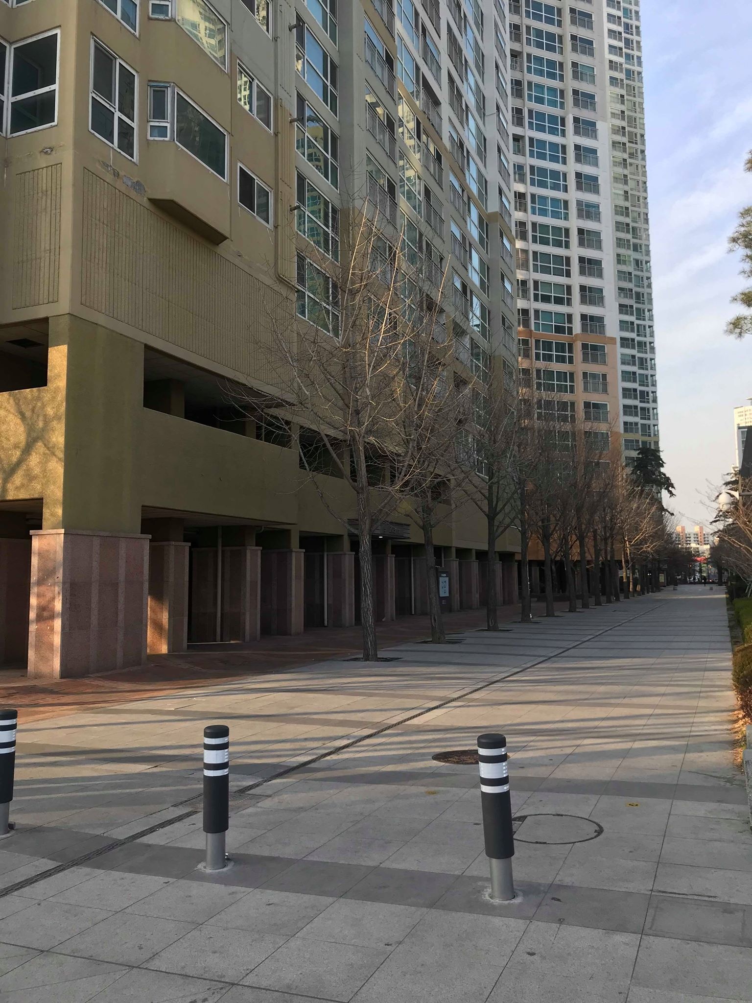 virus corona chủng mới ảnh 5 virus corona chung moi anh 5