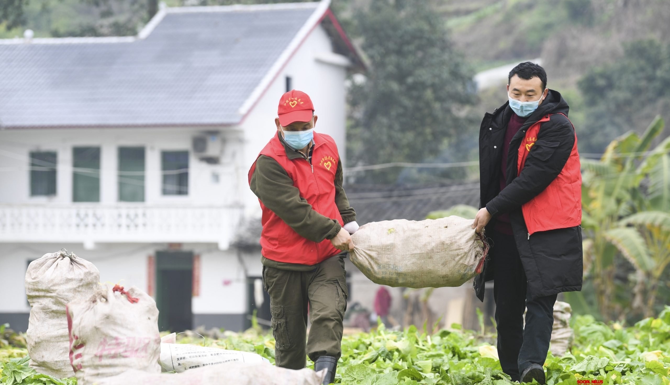 Nong dan Trung Quoc trang tay vi phong thanh hinh anh