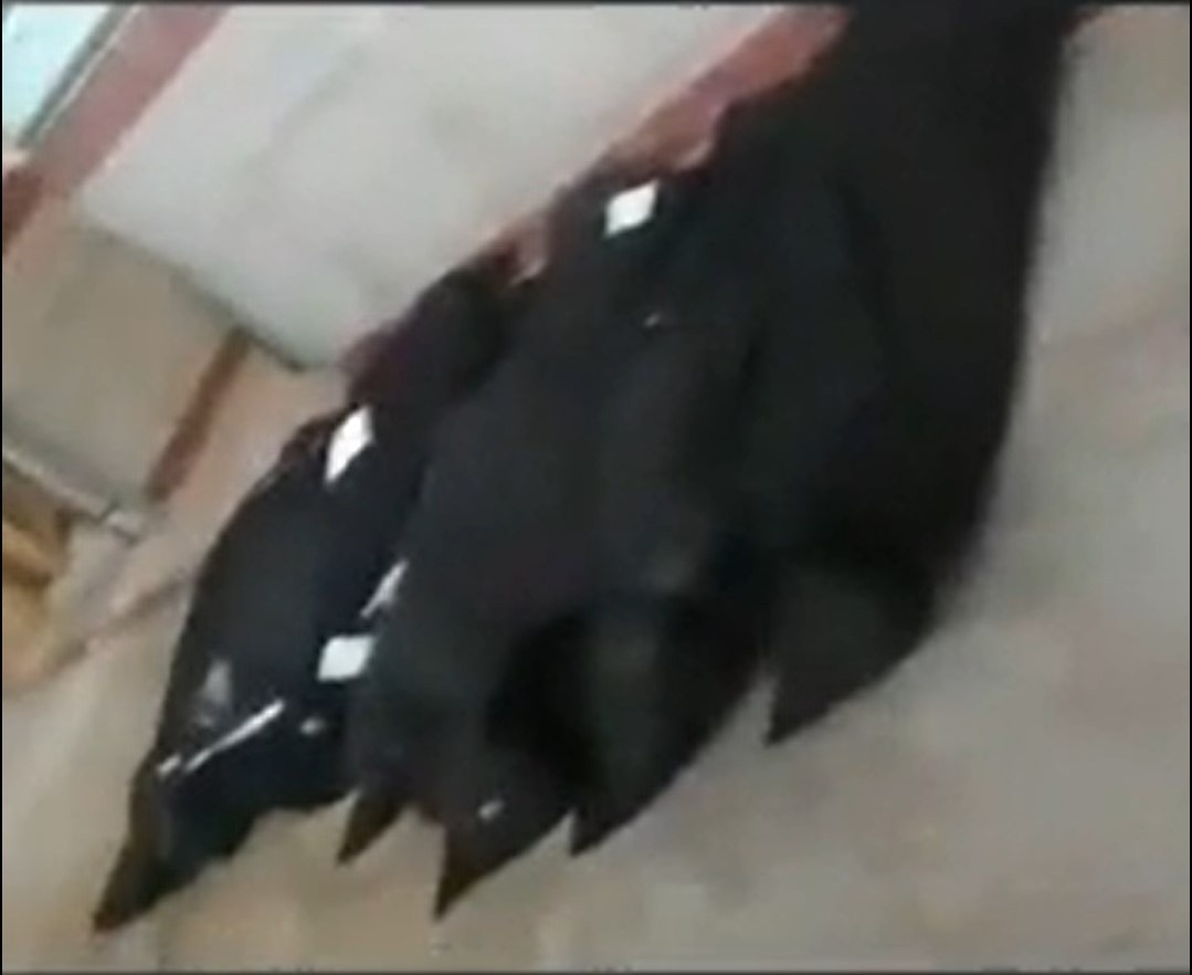 Tu thi boc tui den mac ket trong nha xac o Iran giua dich Covid-19 hinh anh