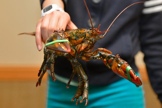 Tom hum het duong bay sang TQ, rot gia xuong day o My vi Covid-19 hinh anh