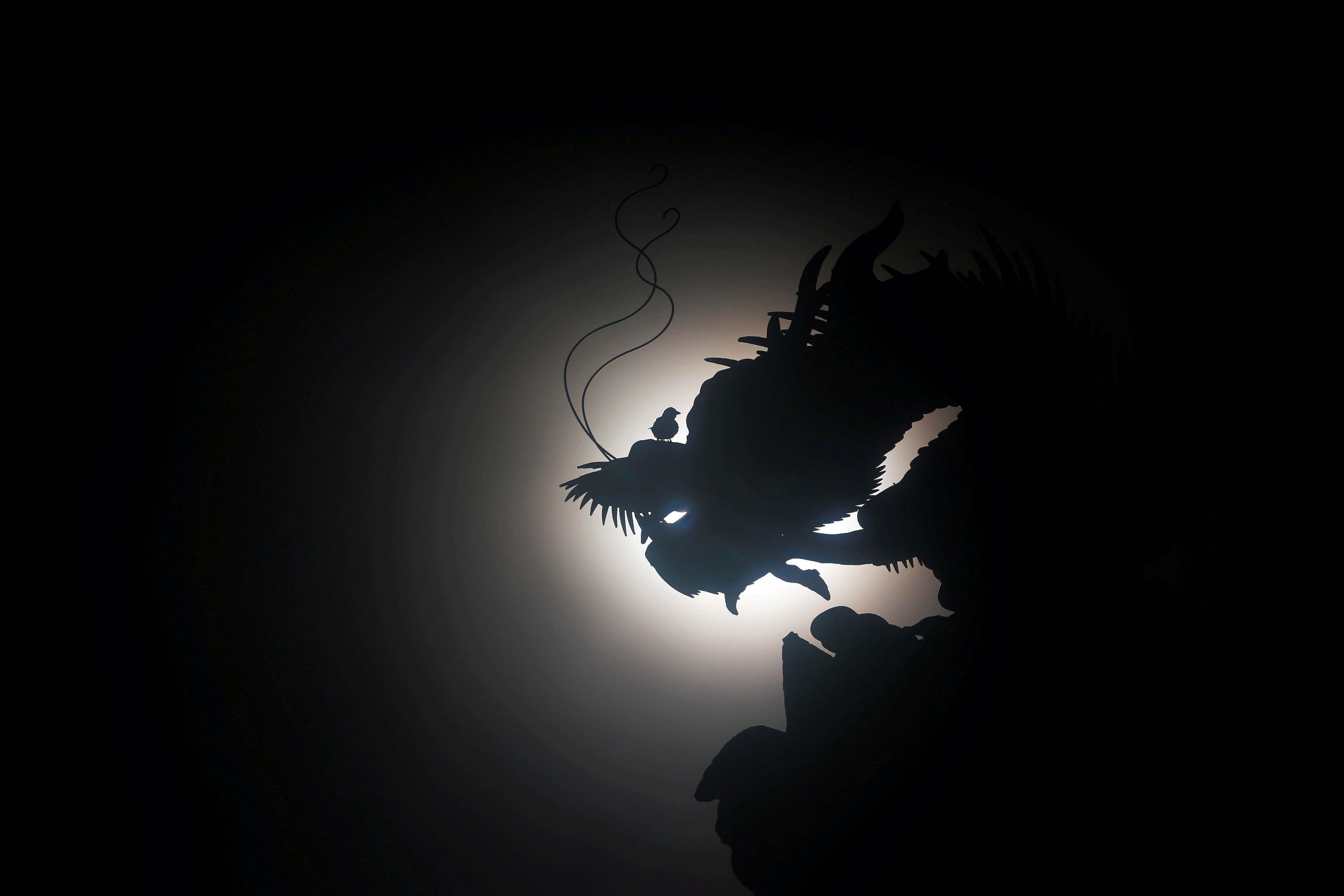 nhat thuc mot phan anh 1