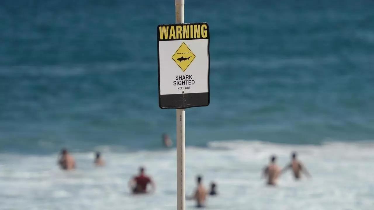 ca map tan cong anh 1