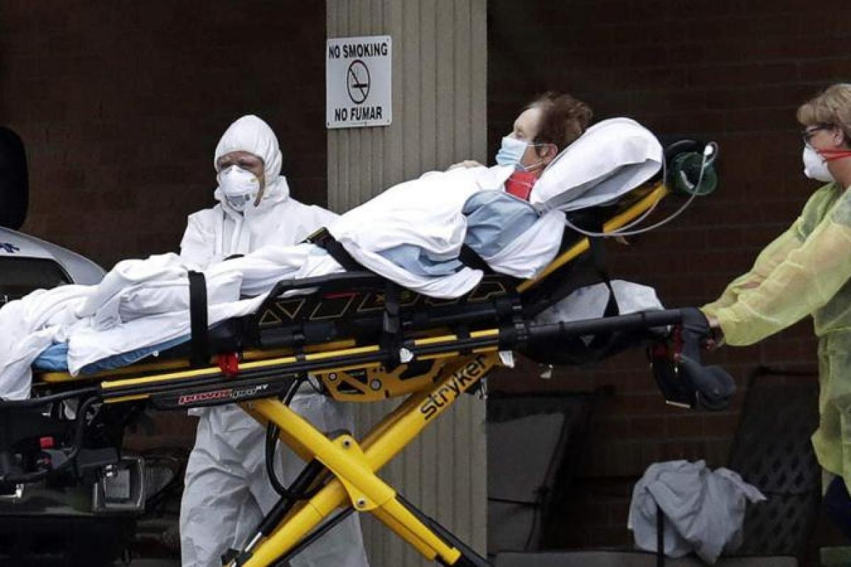 bau cu My 2020 anh 3