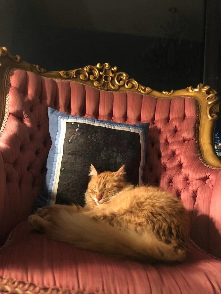 vu no o Beirut anh 1