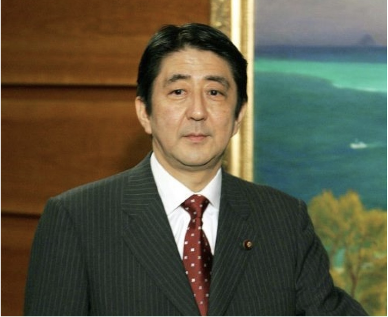 Su nghiep chinh tri voi hai lan tu chuc cua Thu tuong Abe hinh anh