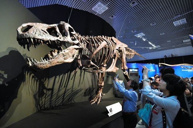 Phat hien benh u xuong ac tinh o khung long hinh anh