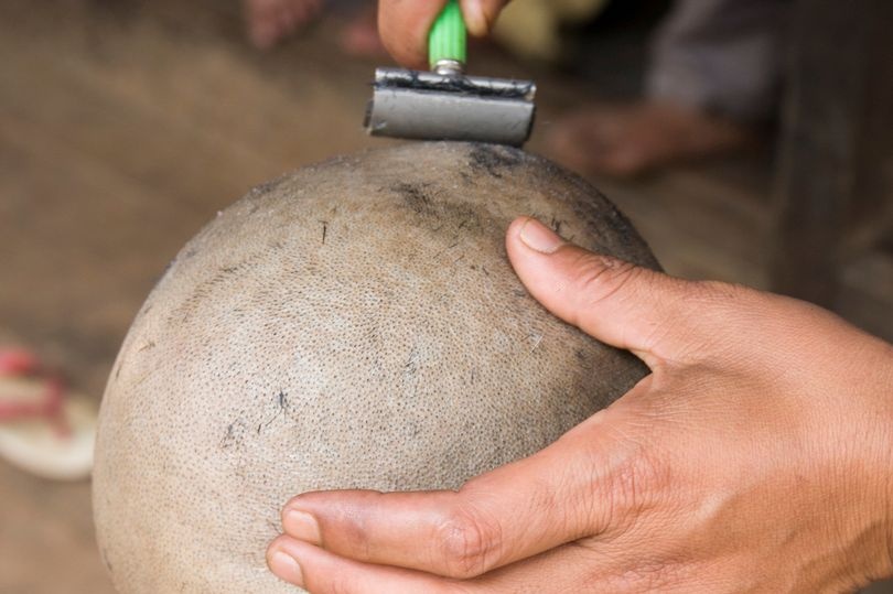 Phap truc xuat gia dinh danh dap va cao dau con gai hinh anh