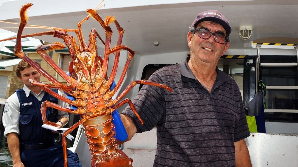 Trung Quoc siet nhap tom hum Australia anh 2