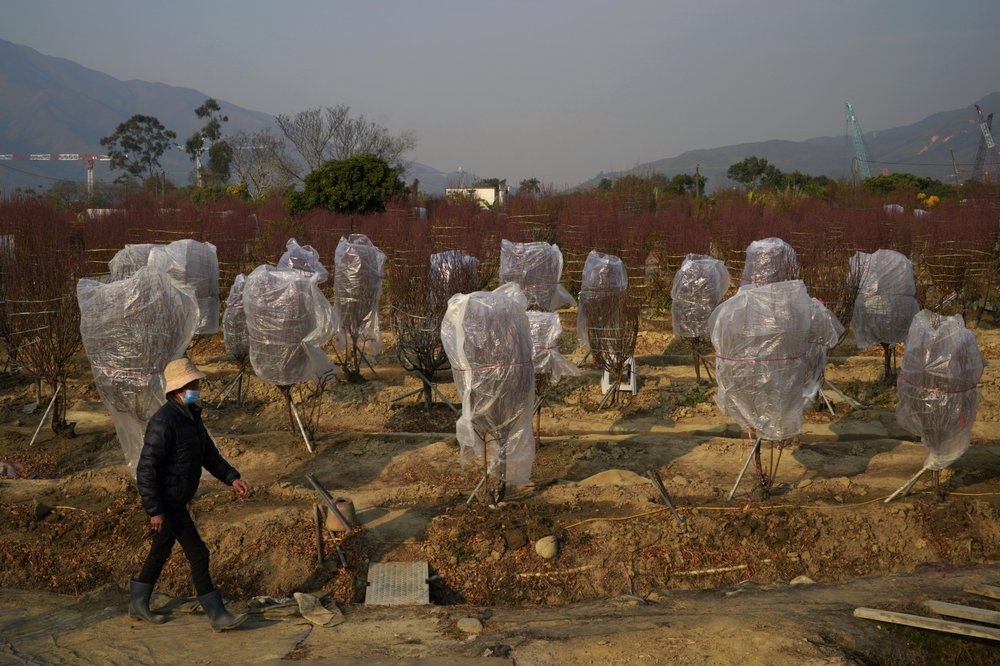 Tet Nguyen dan anh 7