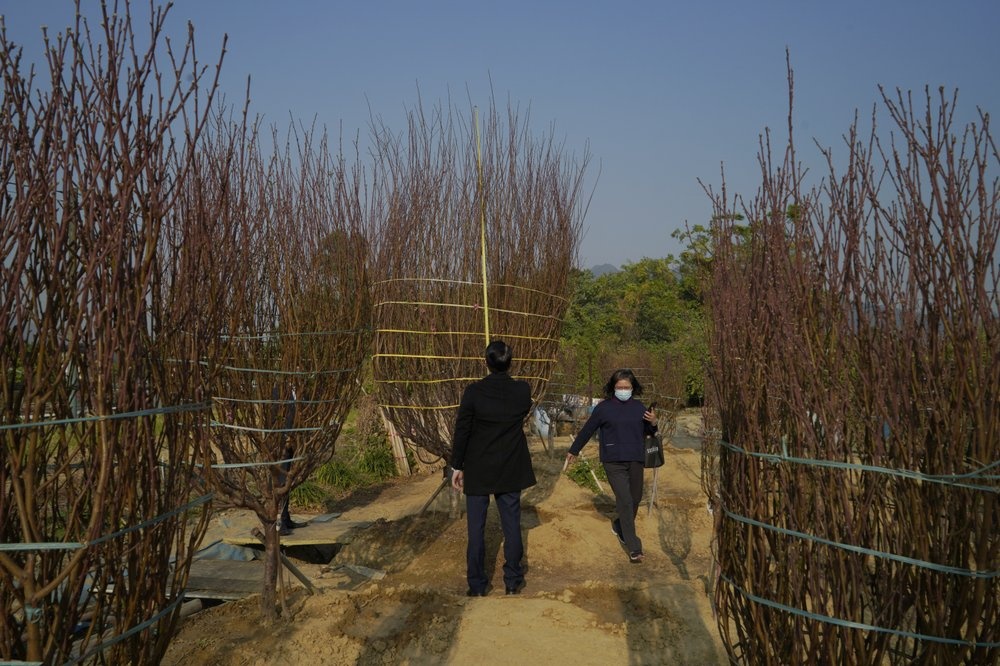 Tet Nguyen dan anh 8