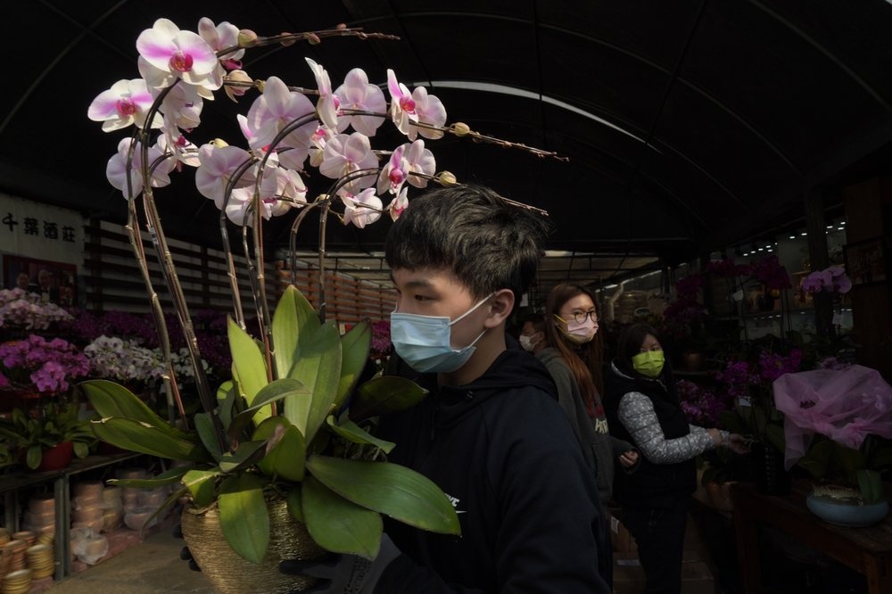 Tet Nguyen dan anh 5