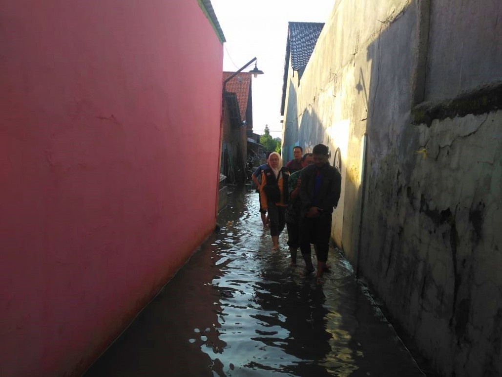 lu lut Indonesia anh 5