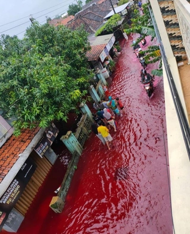 lũ lụt Indonesia ảnh 3 lu lut Indonesia anh 3