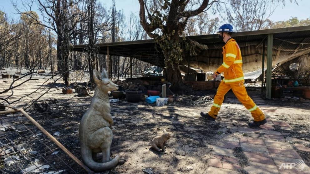 chay rung Australia anh 1