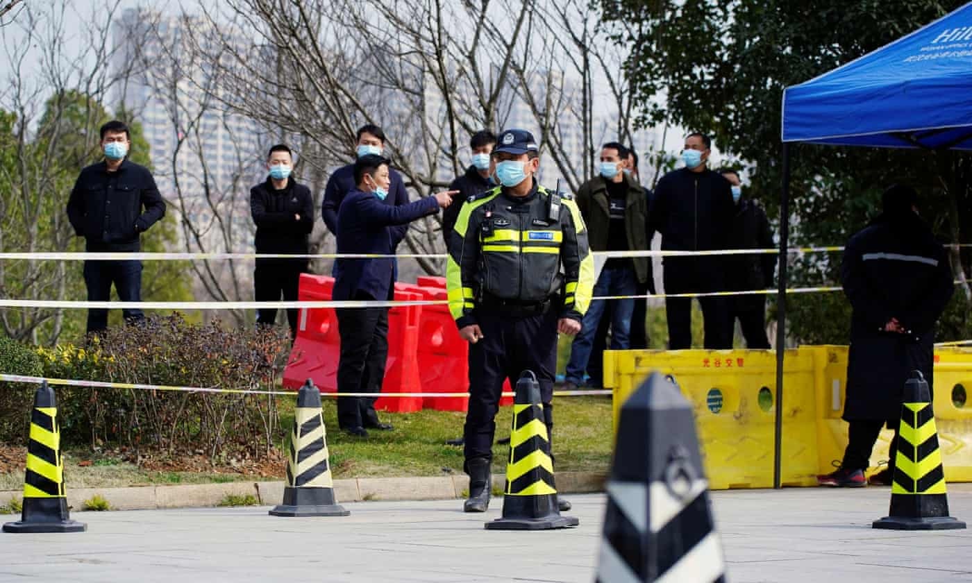 chuyên gia WHO ảnh 1 chuyen gia WHO anh 1