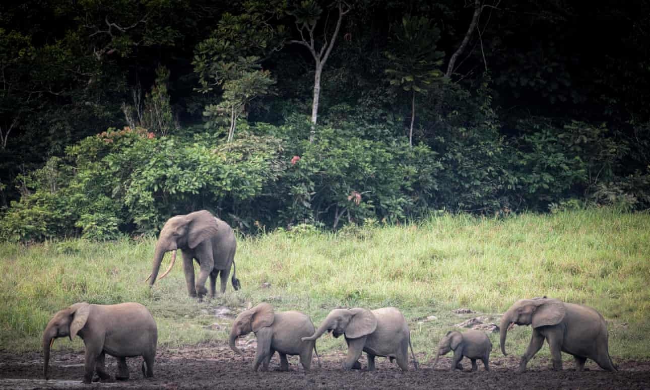 bao ton thien nhien anh 2