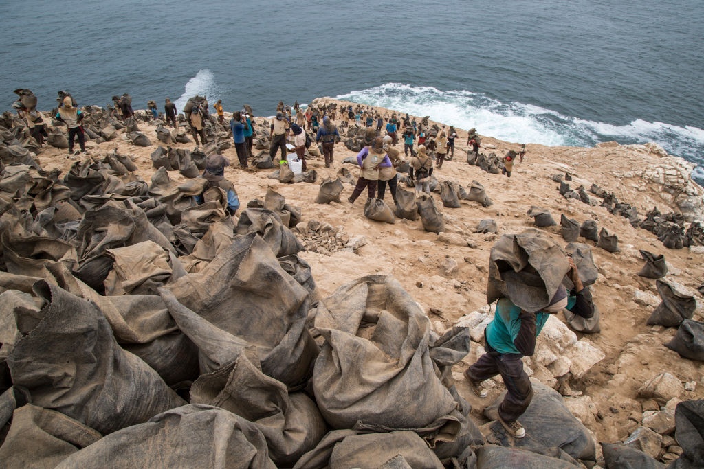 bao ton thien nhien anh 1