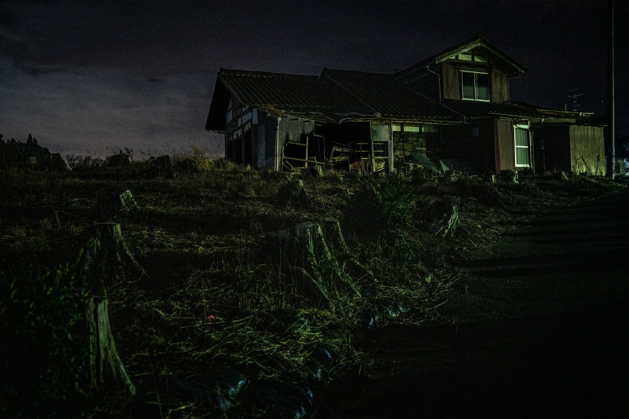 tham hoa hat nhan anh 1