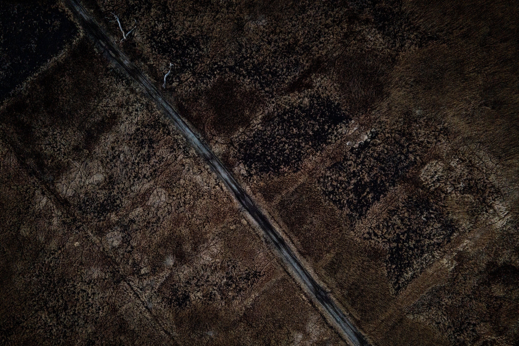 tham hoa hat nhan anh 8