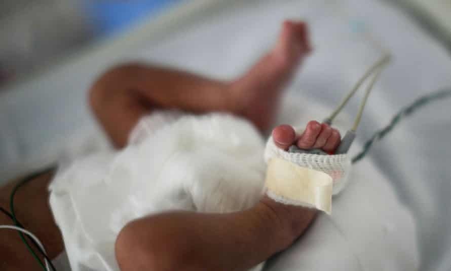 sinh nhieu con anh 1