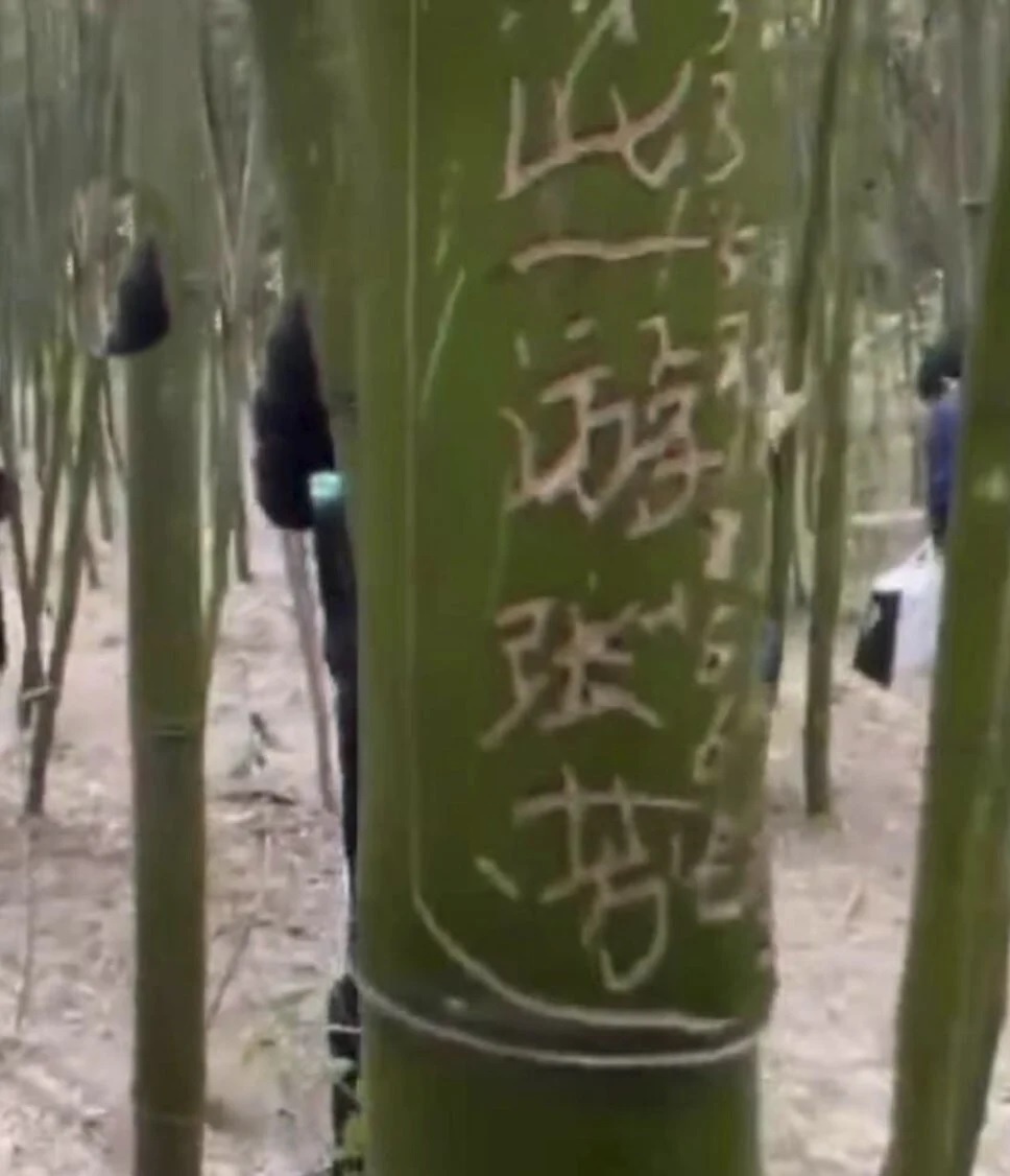 du khach pha hoai o trung quoc anh 2