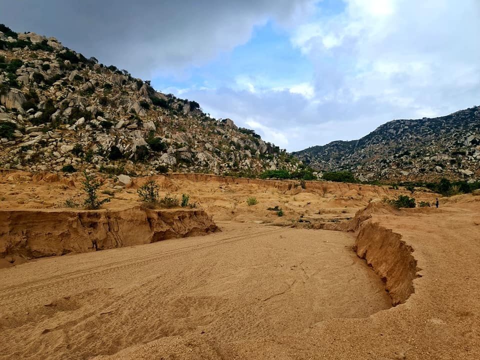 trong rung phong ho anh 1