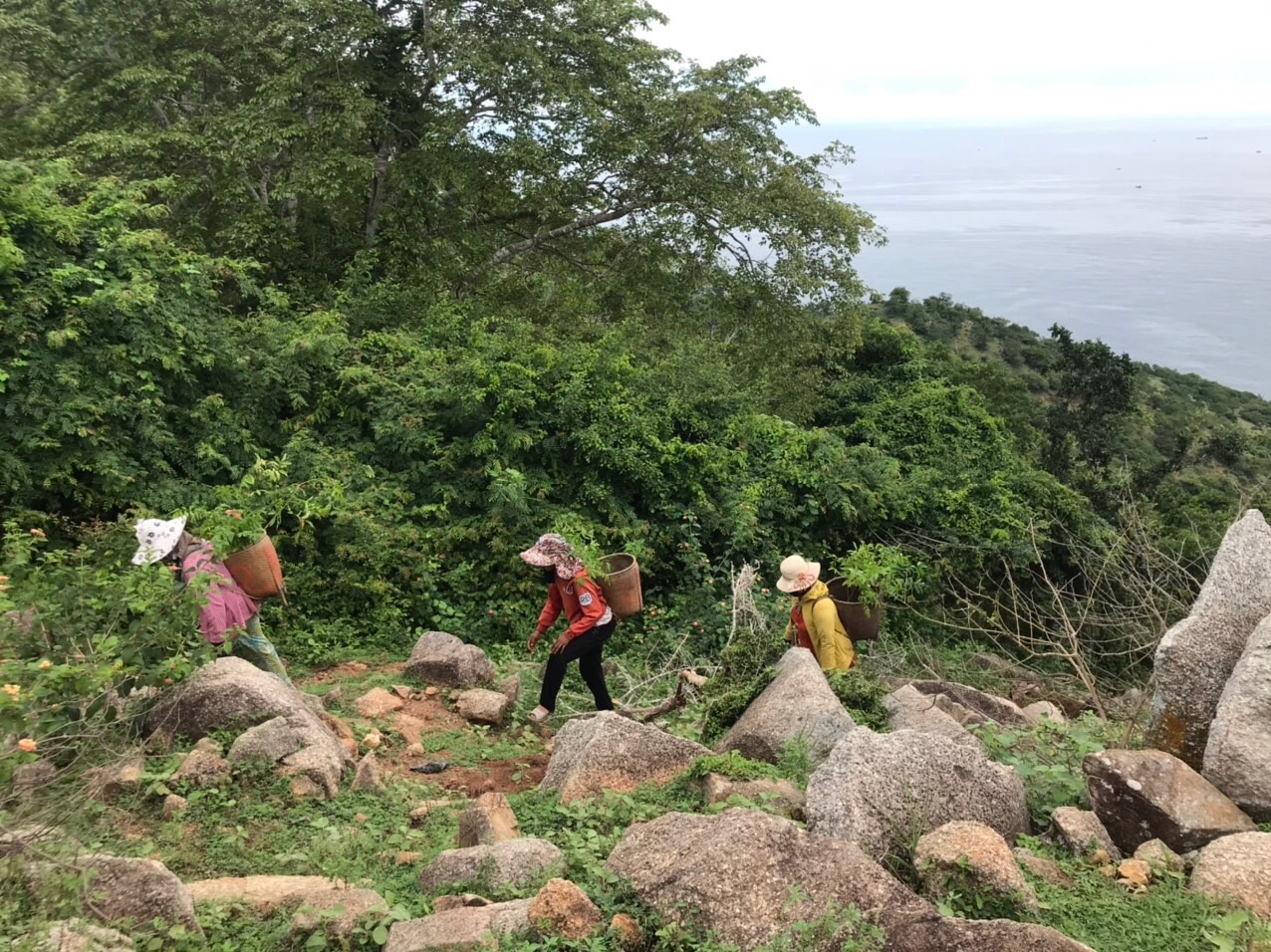 DSQ New Zealand ho tro 800 trieu dong trong rung o Ninh Thuan hinh anh