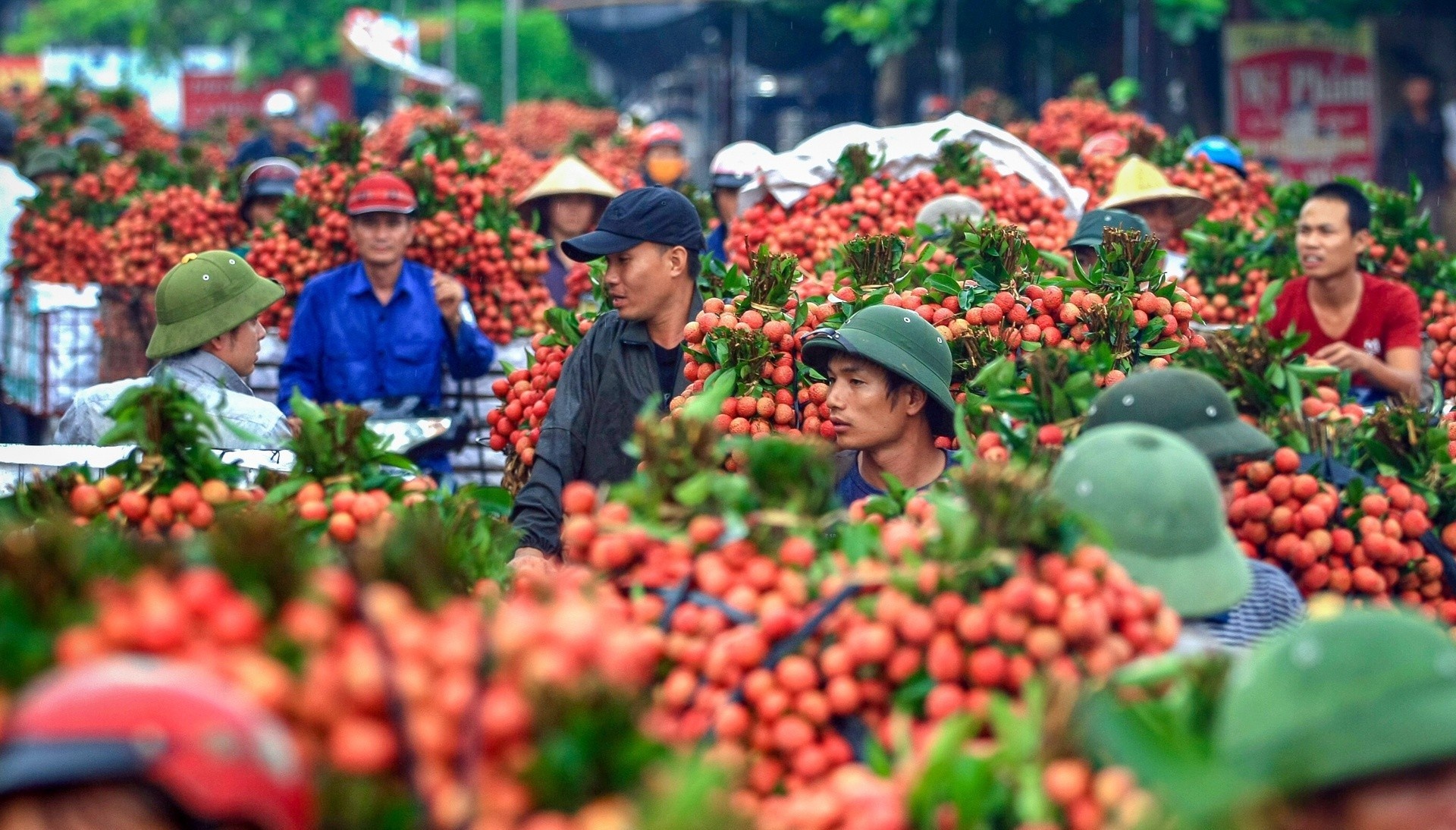 Thuong nhan TQ vao mua vai thieu can tuan thu quy dinh chong dich hinh anh