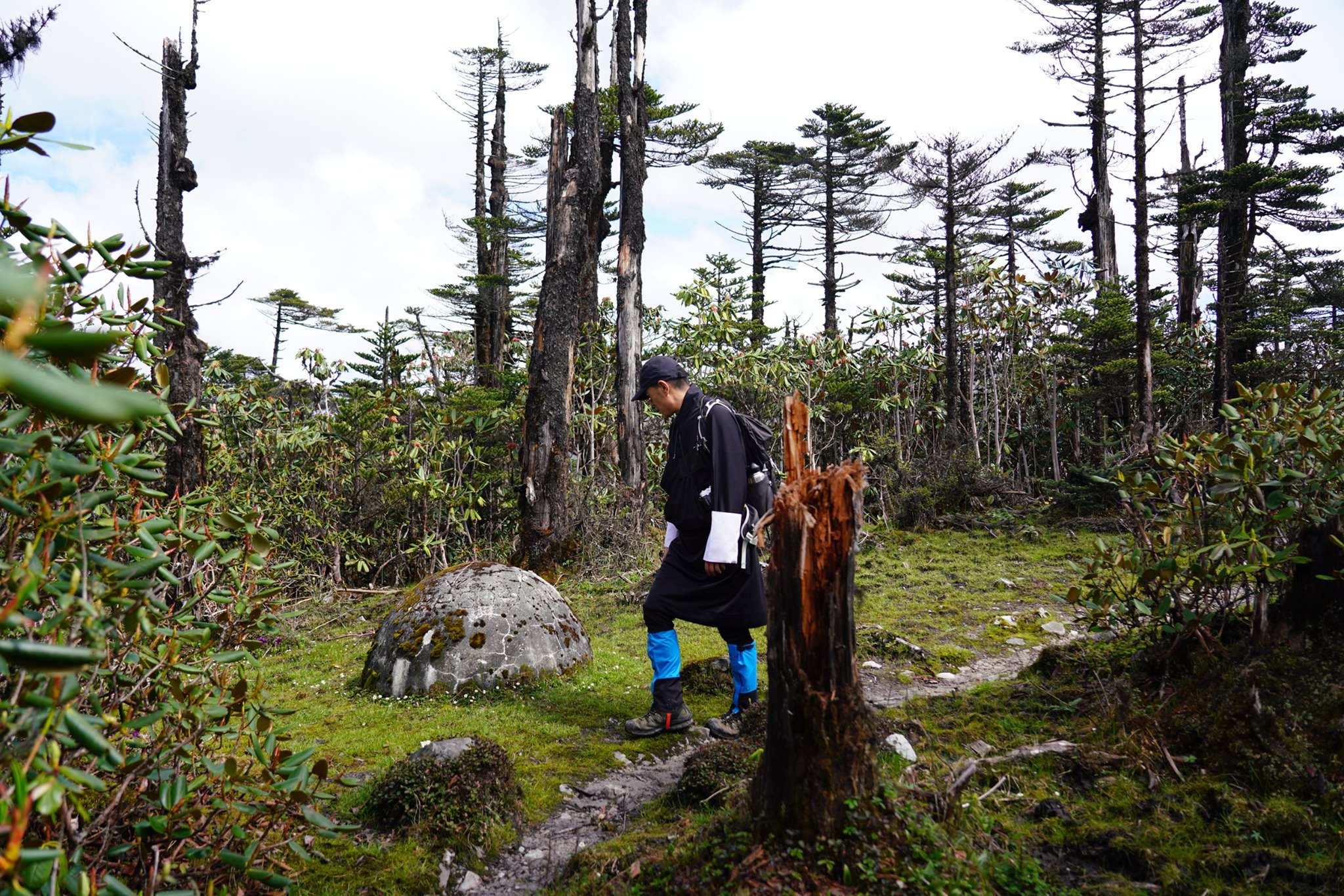 Vua Bhutan di bo xuyen rung den thi sat chong dich Covid-19 hinh anh