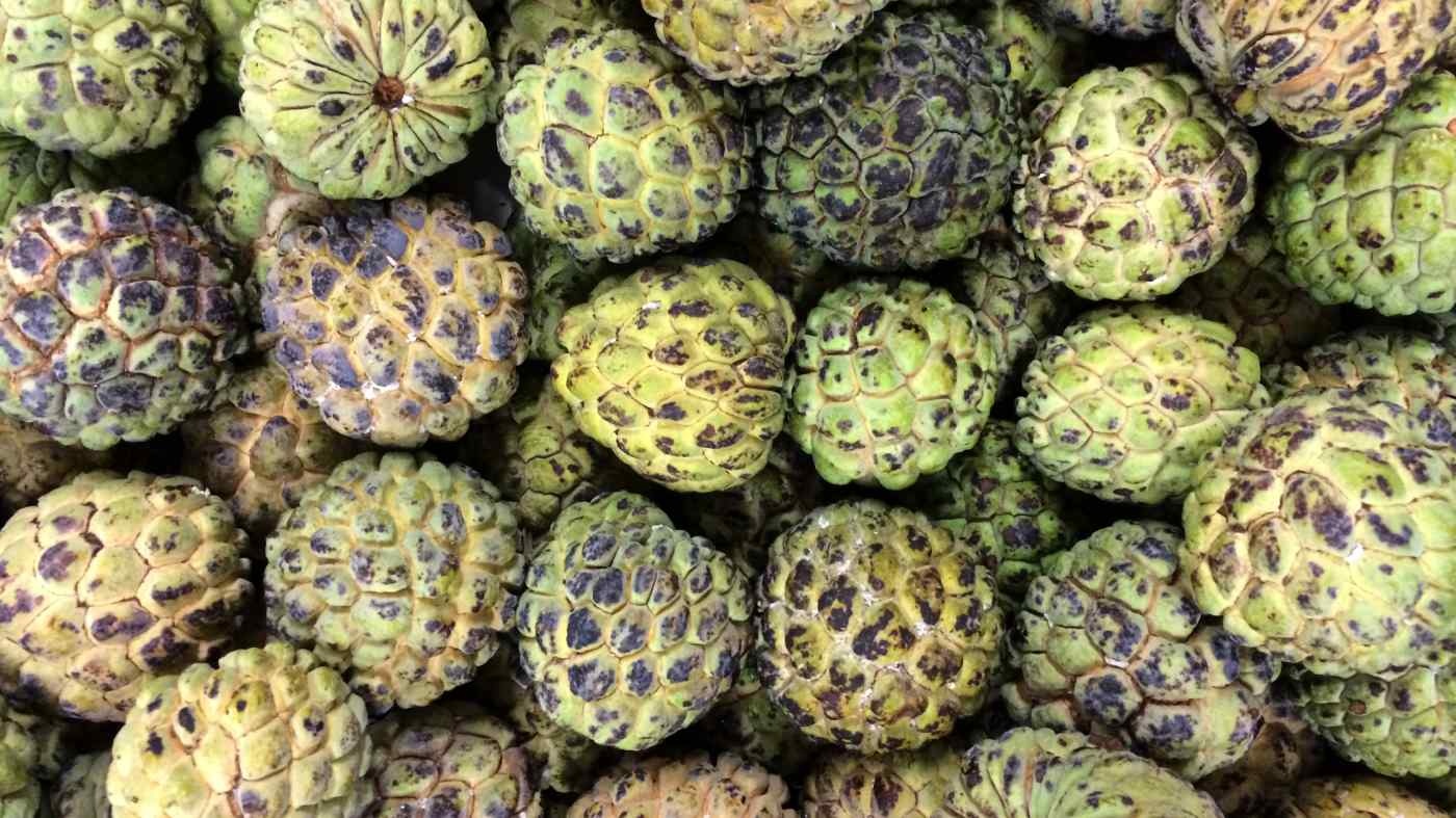 Dai Loan doa kien Trung Quoc ra WTO vi lenh cam nhap trai cay hinh anh