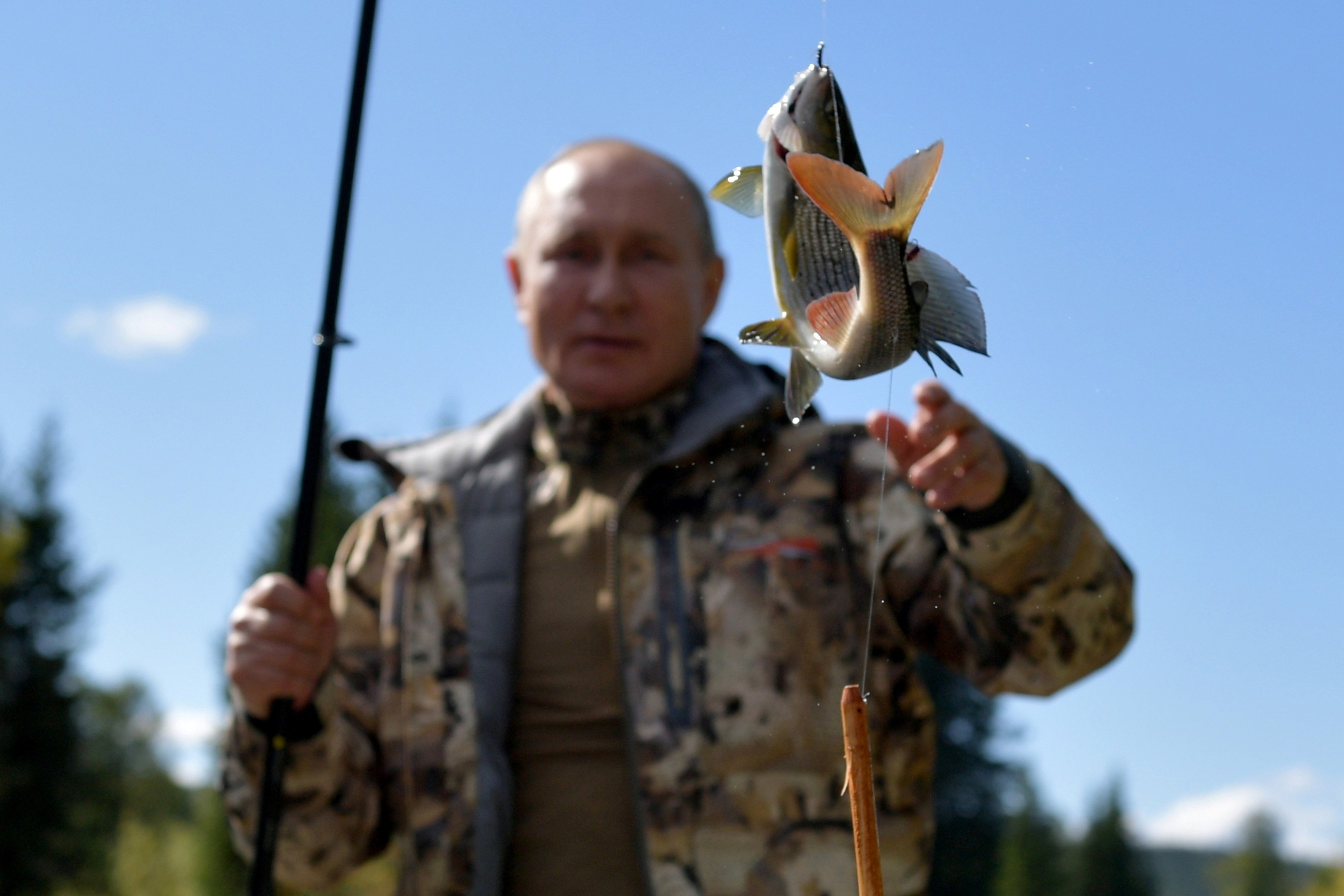 Tong thong Putin di cau ca o Siberia hinh anh