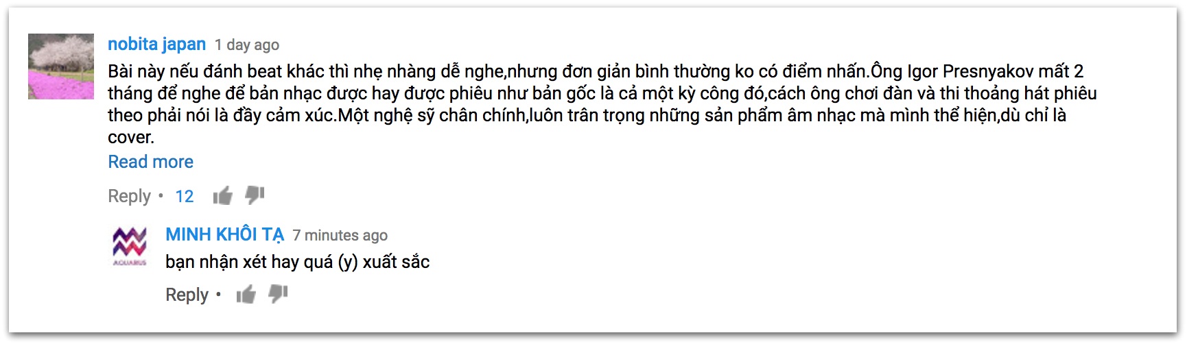 Danh cầm Igor Presnyakov cover Lạc Trôi ảnh 2 Danh cam Igor Presnyakov cover Lac Troi anh 2