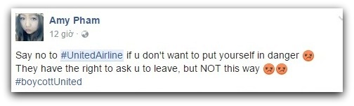 United Airlines keo le hanh khach anh 2
