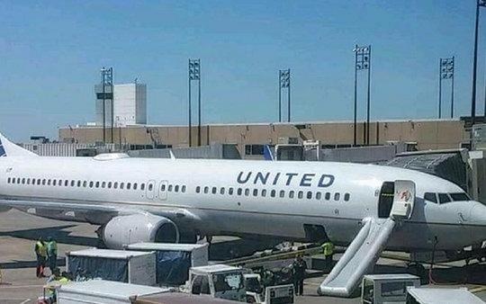 Hang loat be boi cua hang United Airlines ‘loi duoi’ hinh anh