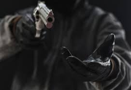 Nhom cuop tan cong song bac o My, thach thuc FBI hinh anh