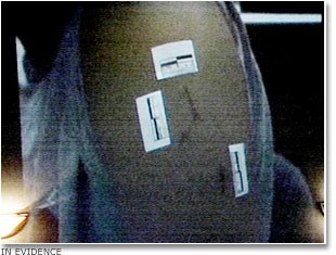 Tham sat gia dinh anh 1